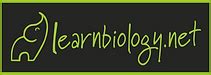 Learnbiology.net .